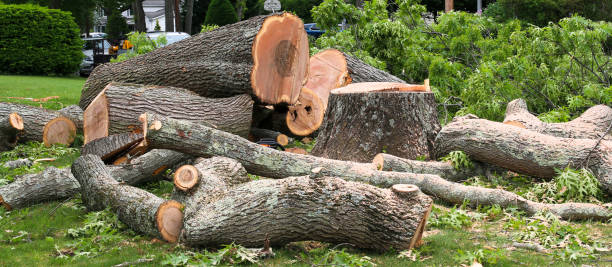 Best Commercial Tree Services  in Cudahy, WI